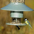Wingscapes Auto Feeder Ruokinta-automaatti ajastimella. Vetoisuus 3,8 L.